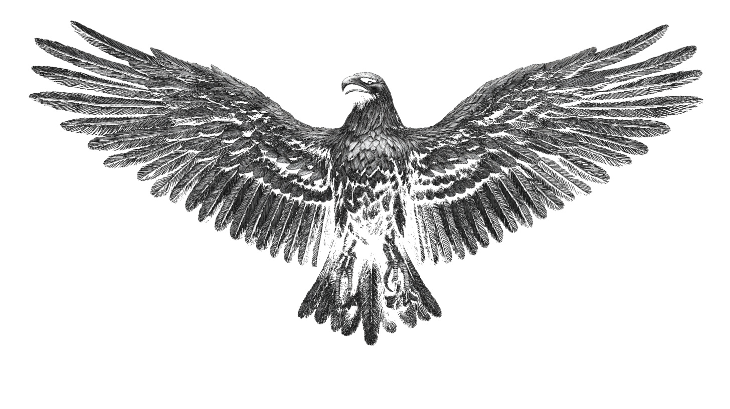 Roman Eagle